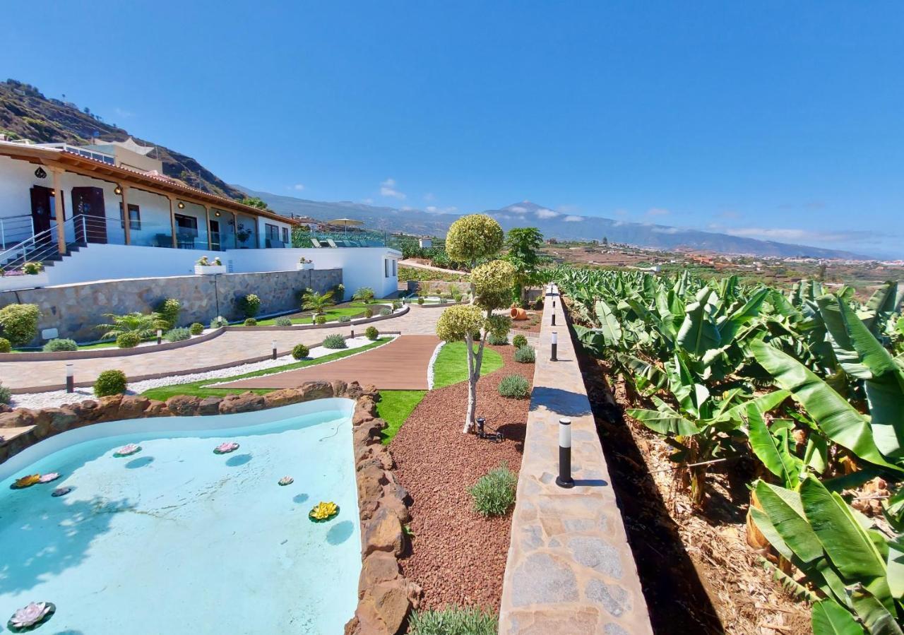Papaya Paradise La Orotava Ngoại thất bức ảnh